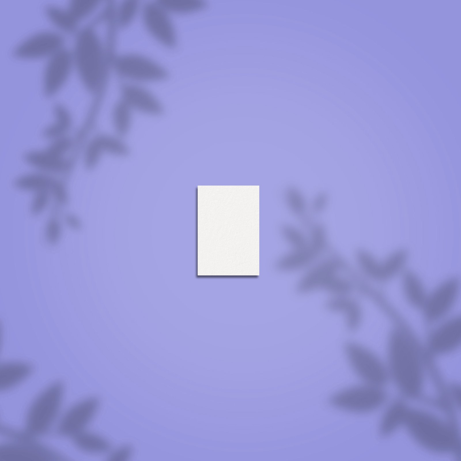 NFB-51m-100_180-50_im1 Buffer rettangolare mini EXPERT 51 grana 100/180 (50 pz) - immagine 1