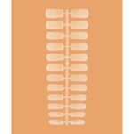 Tips in gel per allungamento unghie Quadrato