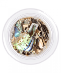 Conchiglia per unghie, stile Shell _7